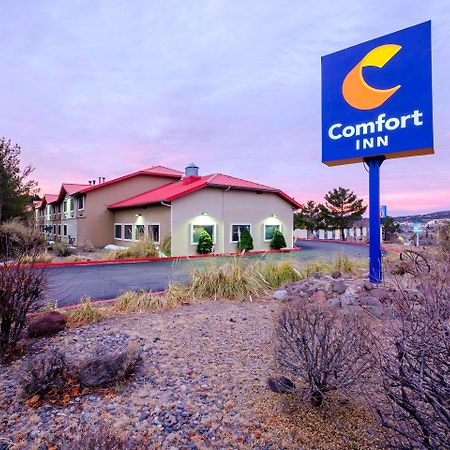Comfort Inn Near Gila National Forest Силвер-Сити Экстерьер фото